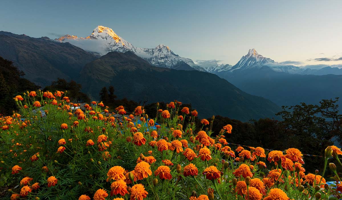 Annapurna in march and may